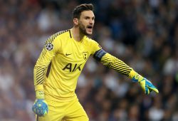 Tottenham Hotspur goalkeeper Hugo Lloris